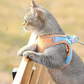 📢📢30% OFF !! ⏰ One Piece Vest Leash