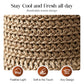 🥳SUMMER HOT SALE🥳💞50K+ SOLD!💥50% OFF! 🔥 Elegant Woven Straw Sun Hat with Bow – Breathable, Foldable & Perfect for Beach & Travel 👒