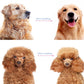 📢📢50% OFF !! ⏰Professional Pet Shedding Comb