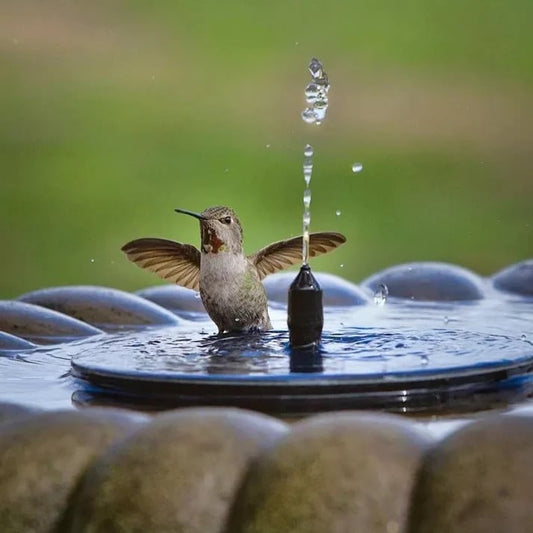 🔥Last day of the limited-time 50% off sale🔥Compact Solar Bird Fountain Pump – Keep Your Garden Alive! 🐦️