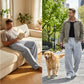 👖 60% RABATT! 🏃‍♂️ Herren-Freizeithose in Lockerer Passform – Kordelzug, Bequemes Baumwollgewebe & Vielseitig für Alltag und Sport 🌟