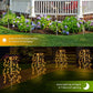 🎆 50% RABATT! ✨ Solar-Bodenlampe „Feuerwerk“ – Dekorativ, IP55 wasserdicht & 8-10h Licht für Garten und Terrasse ☀️