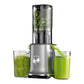 🔥2026 New Upgrade ＆ Hot Sale🔥110mm Wide Chute High-Yield Juicer