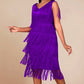 ⏰🔥50% RABATT nur kurze Zeit💰👗Ärmelloses Flapper-Kleid für Damen mit V-Ausschnitt und Fransen✨