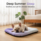 📢📢50% OFF !! ⏰ Instant Self-Cooling Gel Mat for Dogs & Cats❄️