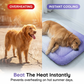 📢📢50% OFF !! ⏰ Instant Self-Cooling Gel Mat for Dogs & Cats❄️